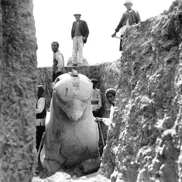 Persian-Gryphon-Discovery Persian-Gryphon-Discovery