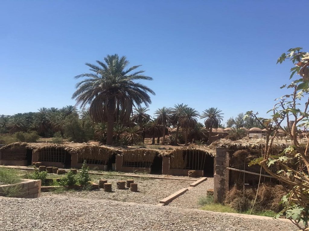 Shafi Abad Village